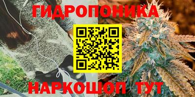 соль курить ск Нягань