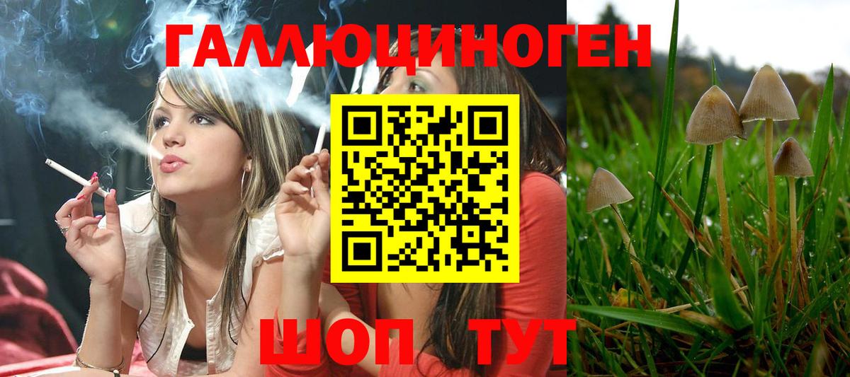 Псилоцибиновые грибы MAGIC MUSHROOMS Ревда